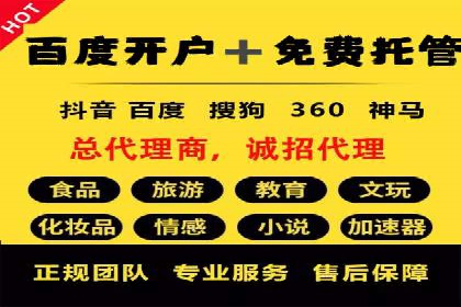 SEM代理服务：案例对比，效果哪家更胜一筹