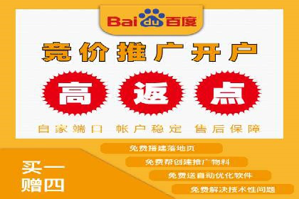 Sem优化公司案例：打造高效广告投放策略